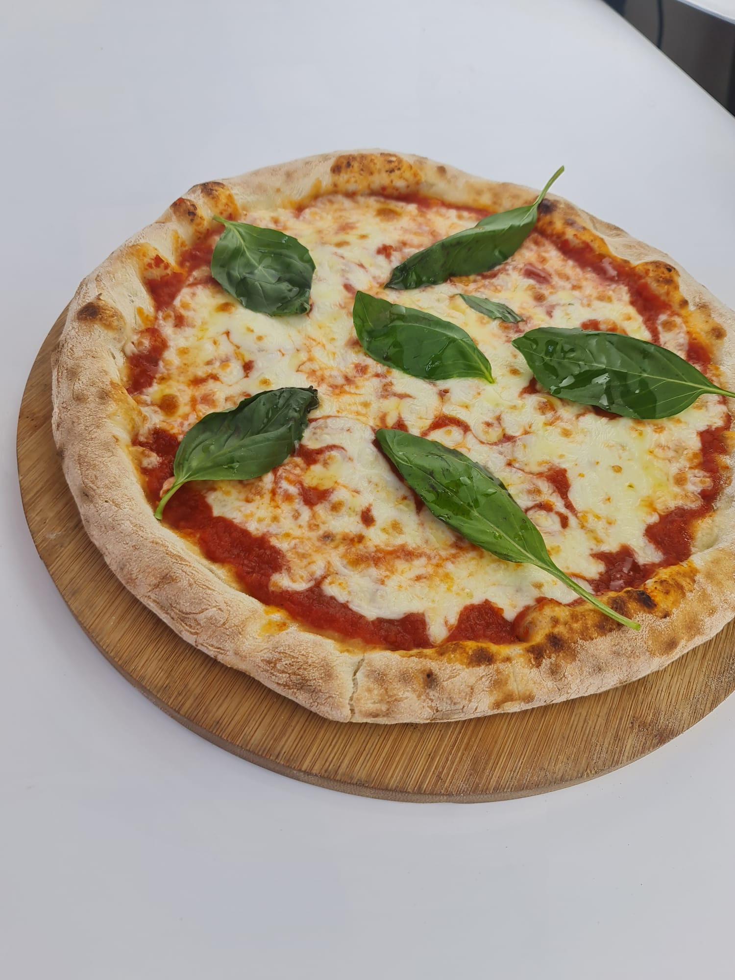 Round Pizza Image